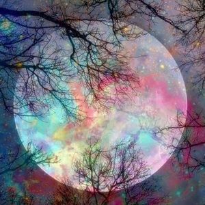 Meet your Posher, Tabitha